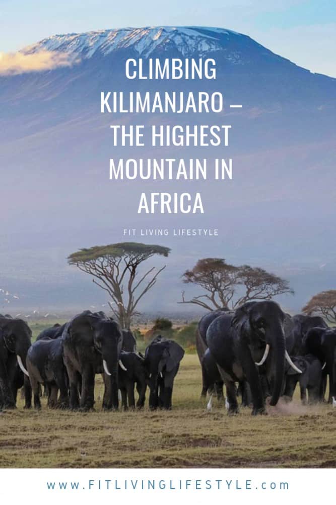 Climbing Kilimanjaro is on many bucket-lists - the idea of ‘conquering’ one of the Seven Summits, and pushing yourself physically makes it a compelling destination.