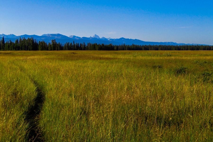 Bechler Meadows Trail in Yellowstone