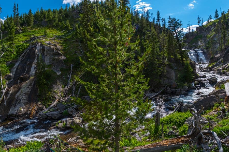 Yellowstone Mystic Falls Hike