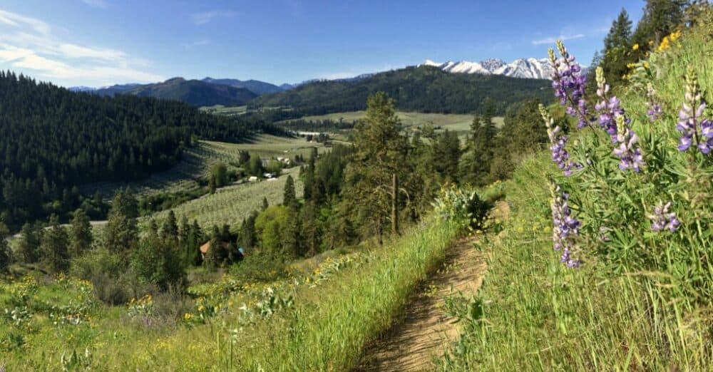 Sauer's Mountain Trail