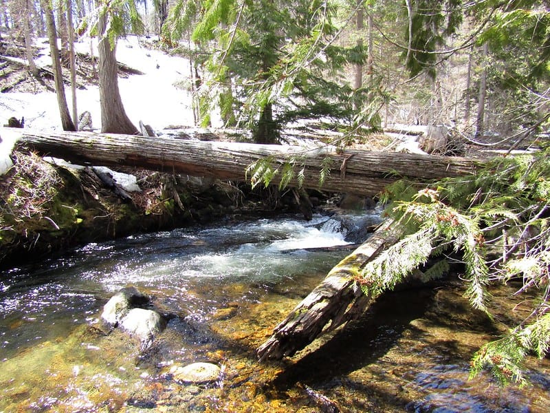 Chiwaukum Creek Trail
