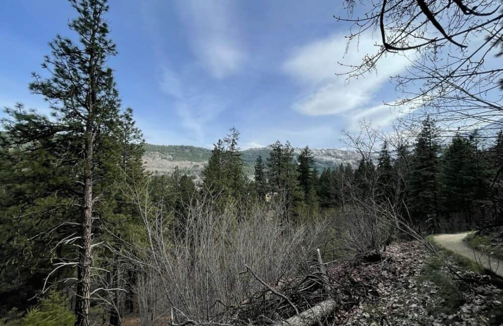 Rat Creek Ridge