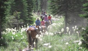Swan Mountain Outfitters - Horseback Riding near Whitefish MT