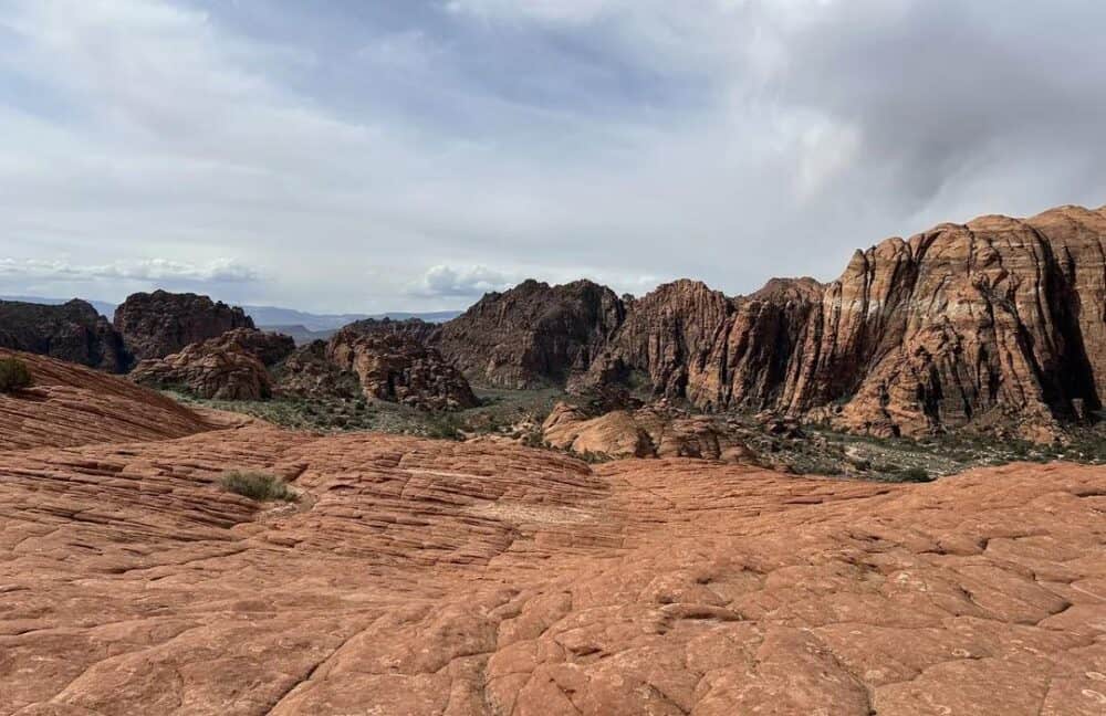 Petrified Dunes Trail