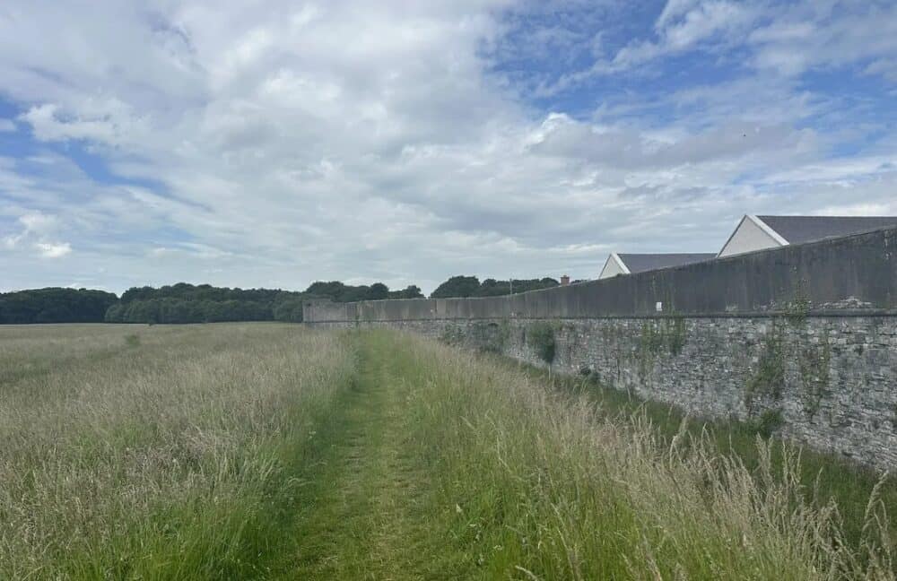 Phoenix Park Perimeter Walk in Dublin