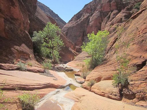 Red Reef Trail