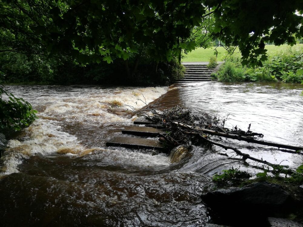 The Dodder River Walk in Dublin