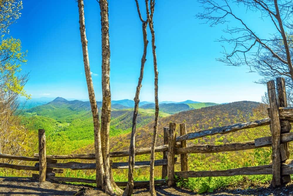 Elk Knob Summit Trail