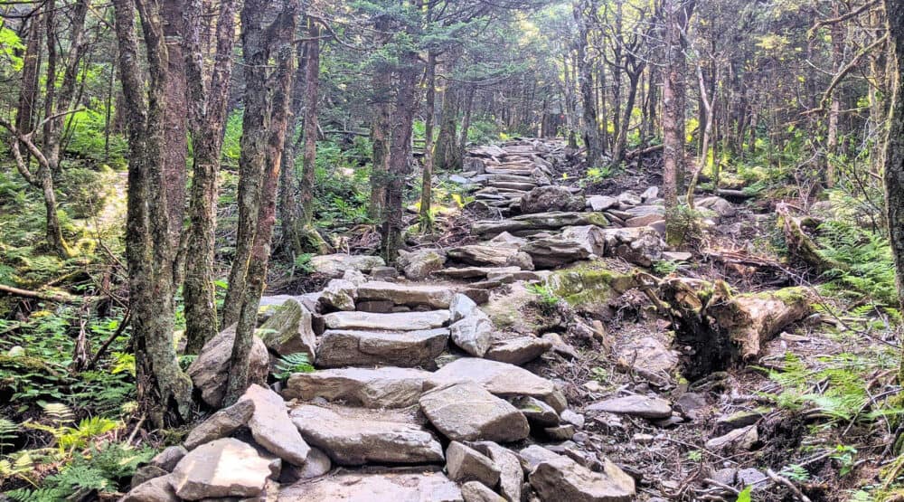 Grandfather Mountain