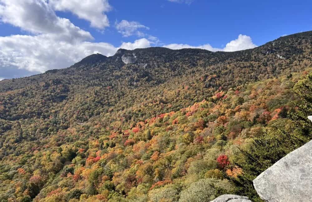 Rough Ridge via the Tanawha Trail - Great Hikes Near Boone NC