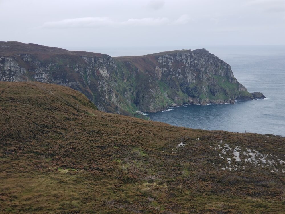 The Horn Head