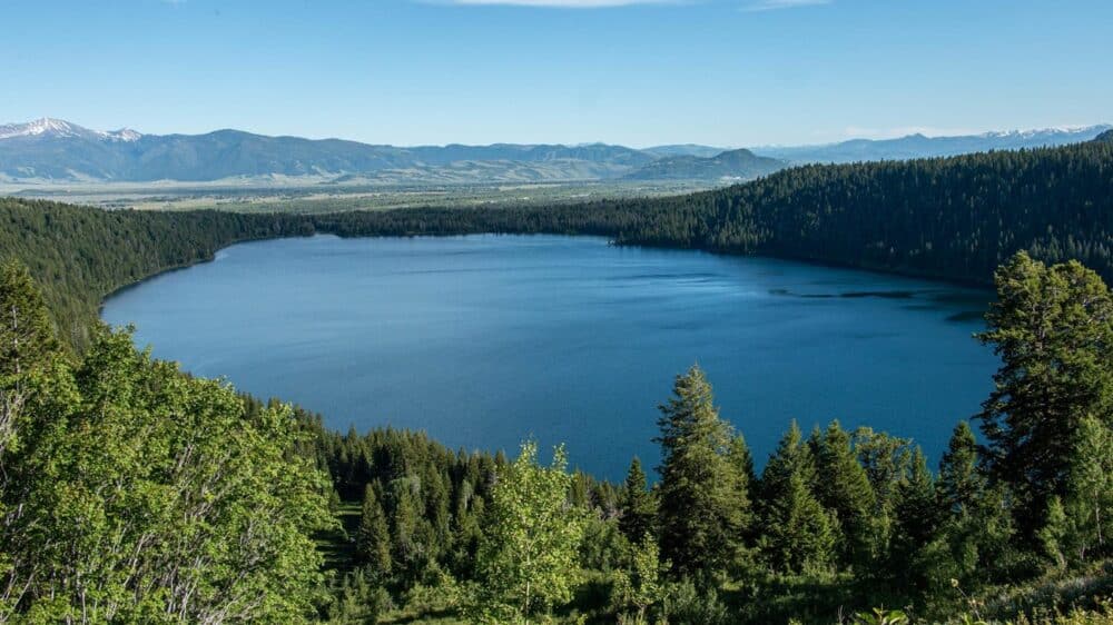 Phelps Lake Overlook
