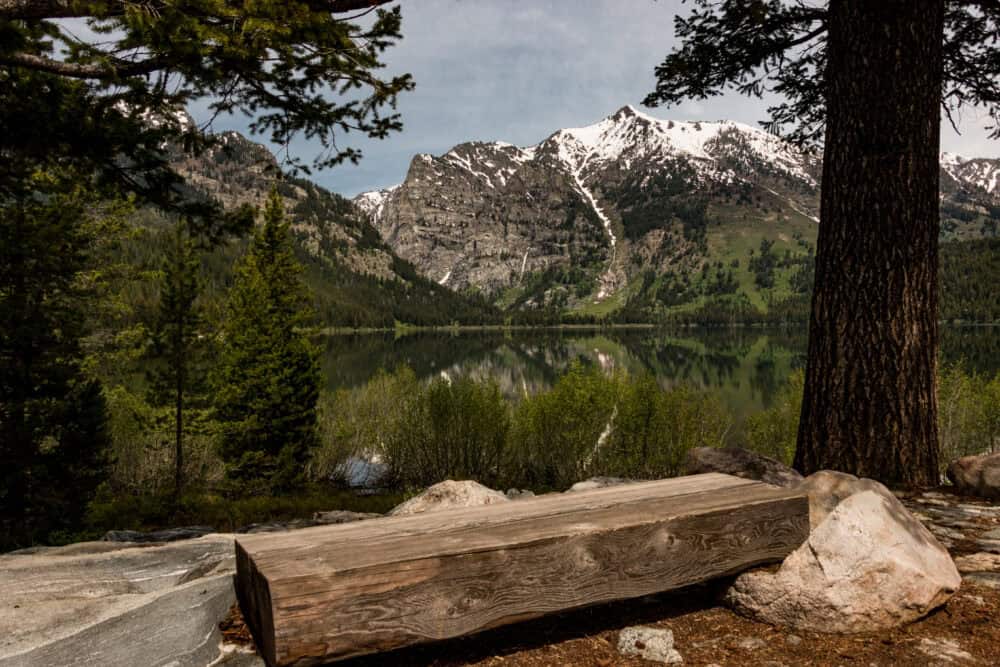 Phelps Lake Trail from Laurance S. Rockefeller Preserve