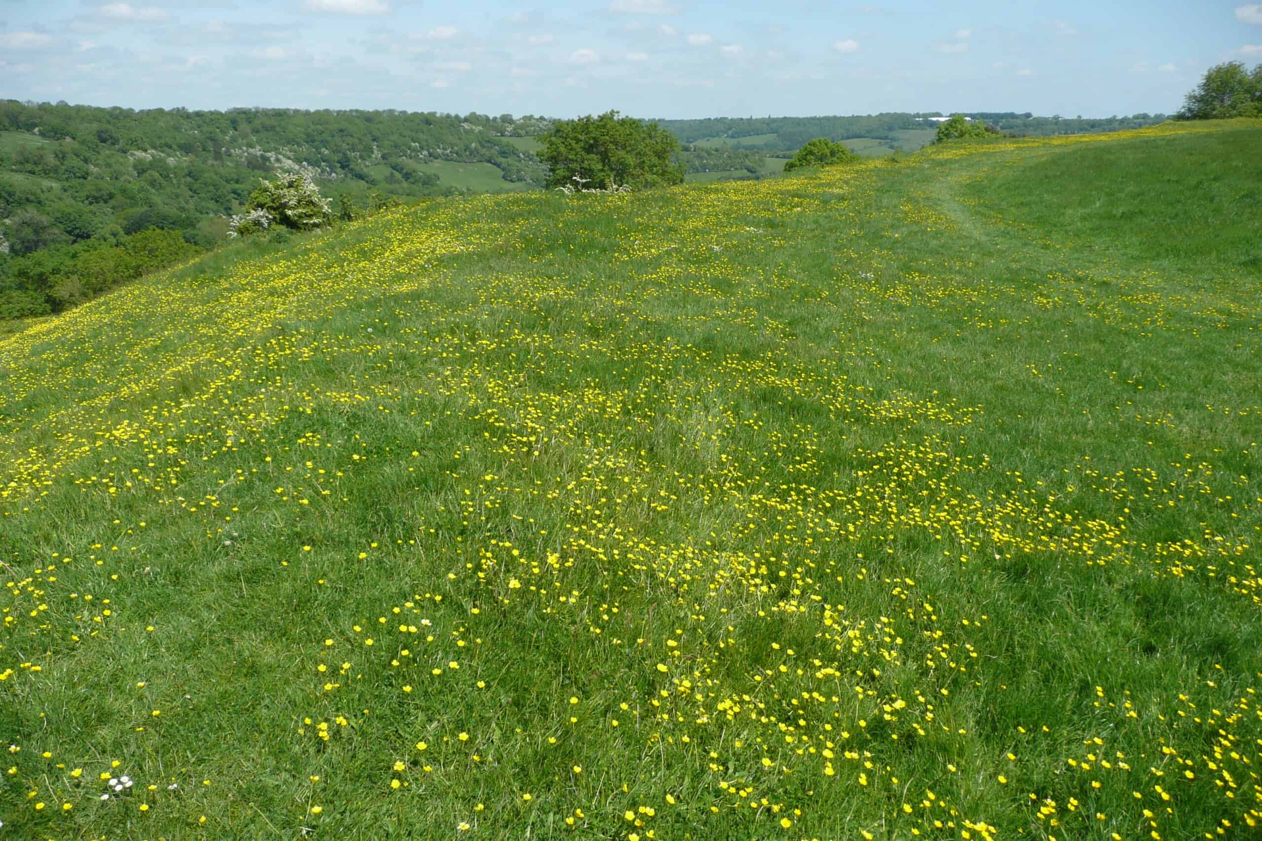 Open grassy landscape of Little Solsbury Hill overlooking the countryside near Bath